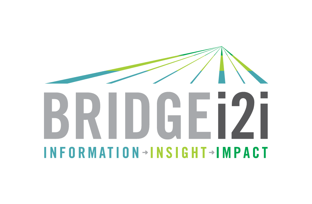 Data Science Companies - Bridgei2i logo